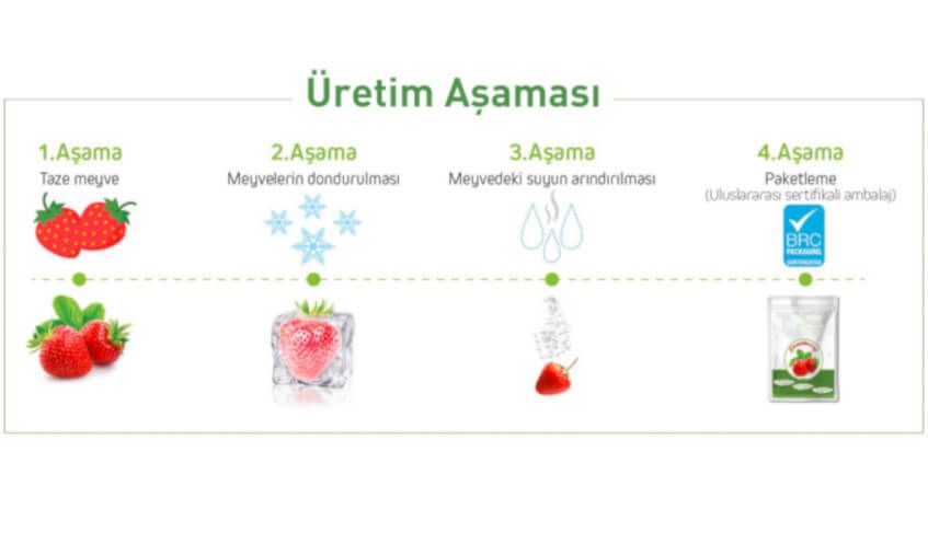 Freeze Drying - Dondurarak Kurutma ile Gıdalar Güvence Altında Freeze Drying - Dondurarak Kurutma ile Gıdalar Güvence Altında