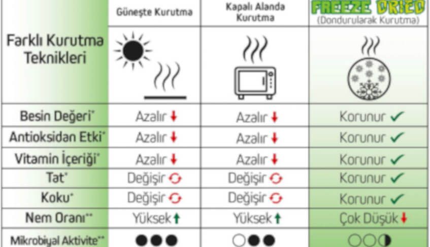 Freeze Dry Kurutma Yönteminin Önemi Freeze Dry Kurutma Yönteminin Önemi