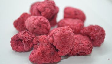 Freeze Dry Fruit Properties