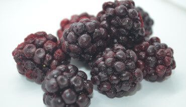 Freeze Dry Advantages